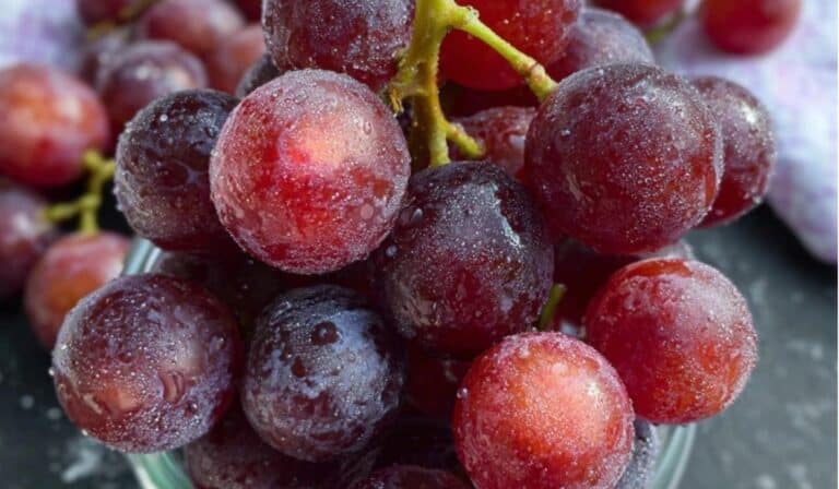 Boozy Grapes displayed in daylight, served cold